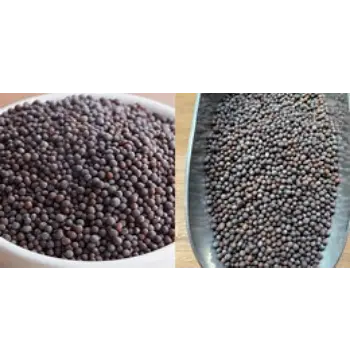 Natural Black Mustard Seeds